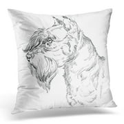 CMFUN Canine Adult Miniature Schnauzer Dog Hand Drawing in Black Color White Animal Cheerful Pillow Case Cushion Cover 18x18 Inches