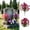 Dark Red, variant on 4 Pcs Dark Red Artificial Morning Glory Bouquets, UV‑Protected Faux Grave Flowers, Fade‑Resistant Fake Floral Arrangements for Cemetery Memorial, Home, Garden & Porch Decor