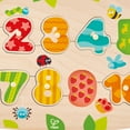 thumbnail image 5 of Hape: Peg Puzzle: Fruity Numbers - 11pc Wooden Puzzle, Colorful Chunky #1-10 Pieces, Discovery Optic Magic, Preschool Play Toy, Toddler & Kids Ages 2+, 5 of 5