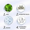 thumbnail image 4 of Polvo blanqueador de dientes, polvo probiótico para limpieza dental, menta blanqueadora, limpia profundamente las manchas y refresca el aliento, 50 g, 4 of 4