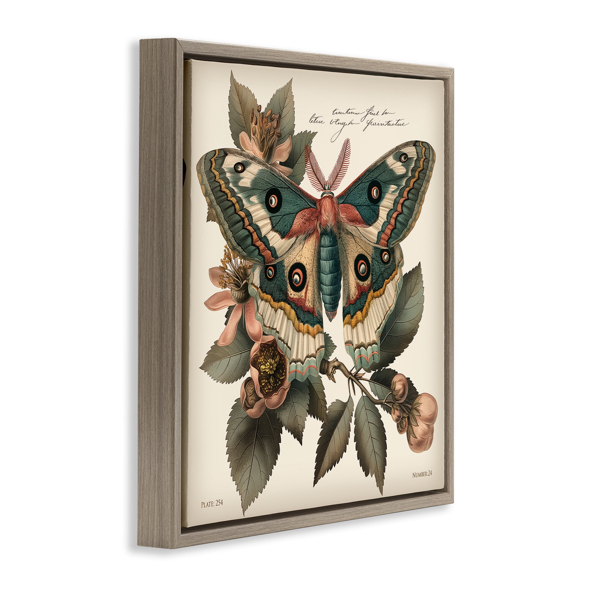 Stupell Industries Green Patterned Moth Animals Painting Brown Floater Framed Canvas Art Print Wall Art, 25 x 25
