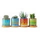 thumbnail image 1 of Advancent Maceta de cerámica ligera y duradera para jardines, belleza, maceta de cerámica para interiores y exteriores Jardín y Patio Amarillo+Verde+Rojo sin planta+bandeja, 1 of 6