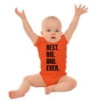 thumbnail image 3 of Cute Funny Best Big Bro Older Brother Bodysuit Jumper Boys Infant Baby Brisco Brands 6M, 3 of 6