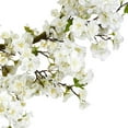 thumbnail image 3 of Nearly Natural 4218 24" Cerisier Fleur Couronne Blanche, 3 of 3