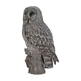thumbnail image 3 of Hi-Line Gift Ltd Owl on Stump Statue, Grey, 3 of 4