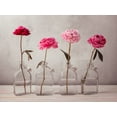 thumbnail image 2 of Frank, Assaf 18x15 Black Ornate Wood Framed with Double Matting Museum Art Print Titled - Peonies in glass bottles, 2 of 4