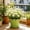 11.81×11.81×11.02in, variant on Green Plant Pots, Ruffled Pots for Plants, Built-In Drainage Hole+Saucer, Thickened Durable Resin Construction, 4 Size Indoor Flower Pot, Smooth Green Finish, Flower Pot,7.09×7.09×6.30in,A