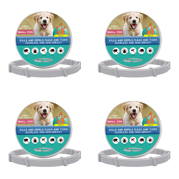 Collar Antipulgas Ajustable Contra Pulgas Y Garrapatas para (perro Pequeño en Caja 38 Cm)