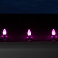 thumbnail image 4 of OptiCore C7 Opaque Ceramic Style Pink LED Christmas Lights Replacement Bulbs, Pack of 25, Shatterproof 0.84W, E12 Base, 4 of 5