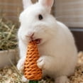 thumbnail image 5 of Natural Loofah Chew Toys for Small Pets,Dental Care Toy Set for Rabbits Guinea Pigs,Natural Fiber Enrichment Kit,14-Piece Safe Hamster Chinchilla Chewing Toys,Rabbit Chew Toys Guinea Pig Toys, 5 of 5