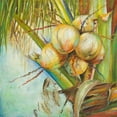 thumbnail image 2 of Pinto, Patricia 15x15 Gold Ornate Wood Framed with Double Matting Museum Art Print Titled - Patricias Coconuts II, 2 of 4