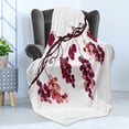thumbnail image 4 of Fruit Soft Flannel Fleece Blanket, Vine Branch with Colorful Grapes Agriculture Themed Illustration Healthy Food Options, Cozy Plush for Indoor and Outdoor Use, 60" x 80", Multicolor, by Ambesonne, 4 of 5