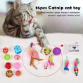 thumbnail image 2 of 16pcs Retractable Cat Wand Toy Set Colorful Cat Teaser with Feather Head Replacement & Bell Cat Stick Supply for Kitten, 2 of 6
