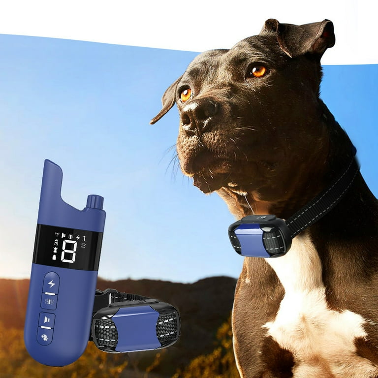 Dog shock collars 2025 at walmart