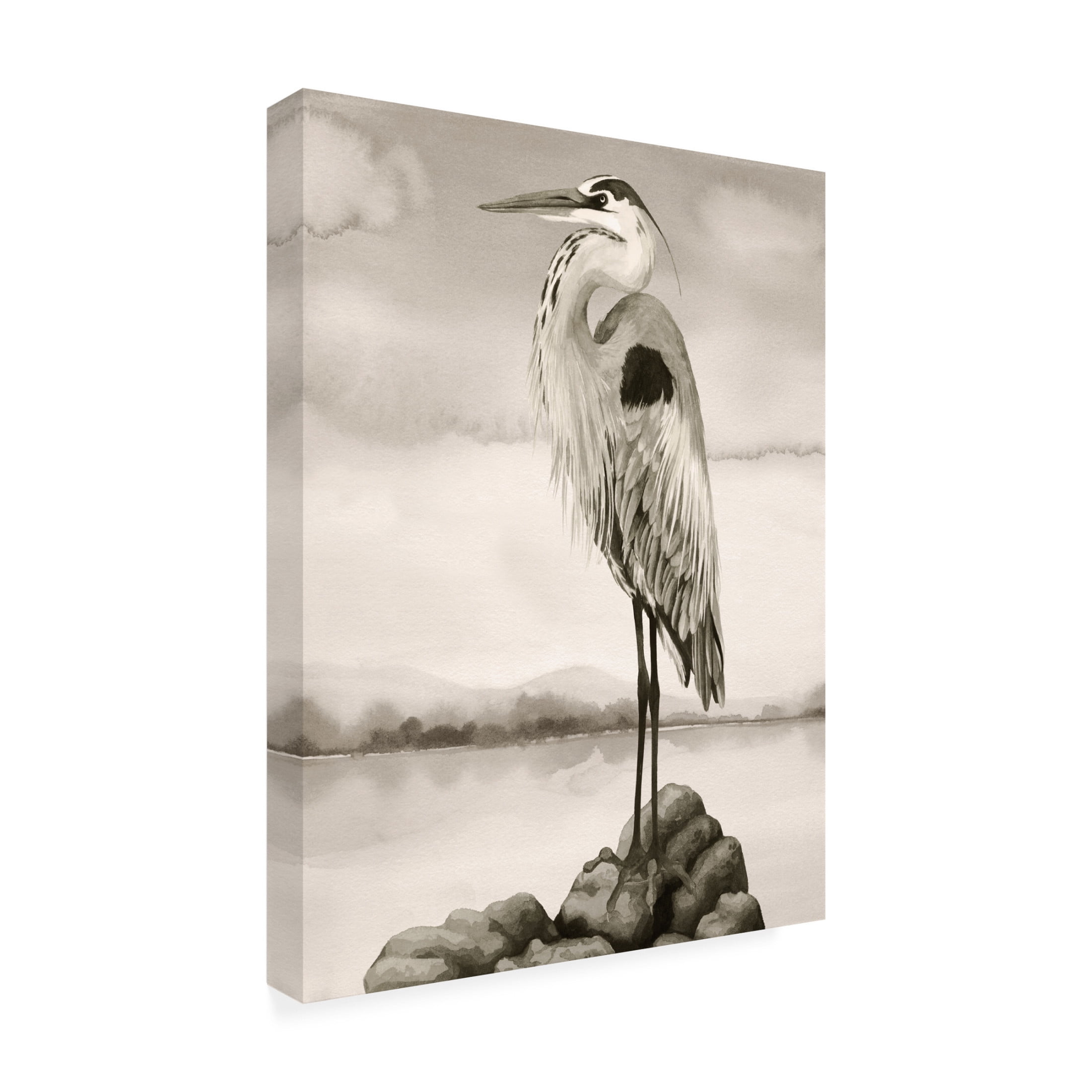 Trademark Fine Art Grace Popp Sepia Watcher I Canvas Wall Art