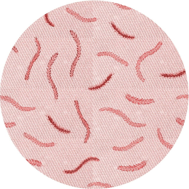 Ahgly Tapis Rond Lavable en Machine Intérieur Transitionnel Rouge Pastel Rose, 7 Pieds Rond