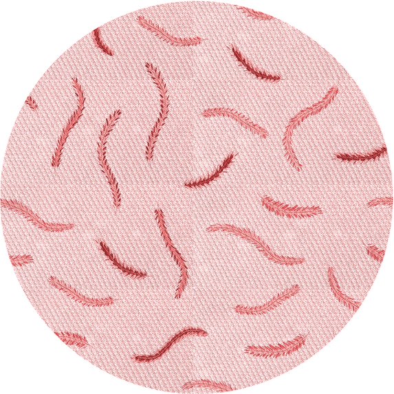 Ahgly Company Indoor Round Patterned Pastel Red Pink Area Rugs, 7' Round
