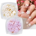 thumbnail image 3 of 1 Box Nail Decoration Exquisite Shape Gradient Color Realistic Looking Plentiful Quantity Wide Application Decorative Resin Fashionable 3D Nail Art Decoration DIY Crafts Nail Supplies, 3 of 8