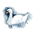 thumbnail image 2 of Green, Jacob 18x15 Black Ornate Wood Framed with Double Matting Museum Art Print Titled - Silverlake Swan II, 2 of 4