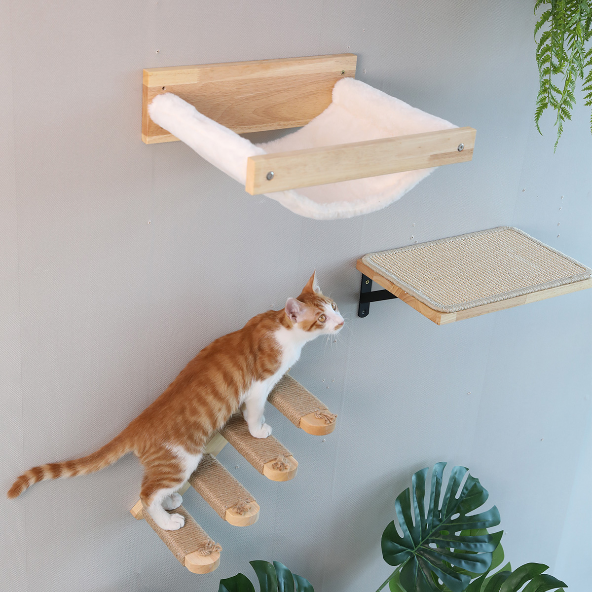 FUKUMARU Cat Furniture Set, 3 in 1 Wall Shelves & Hammock for Multi-Cat Home