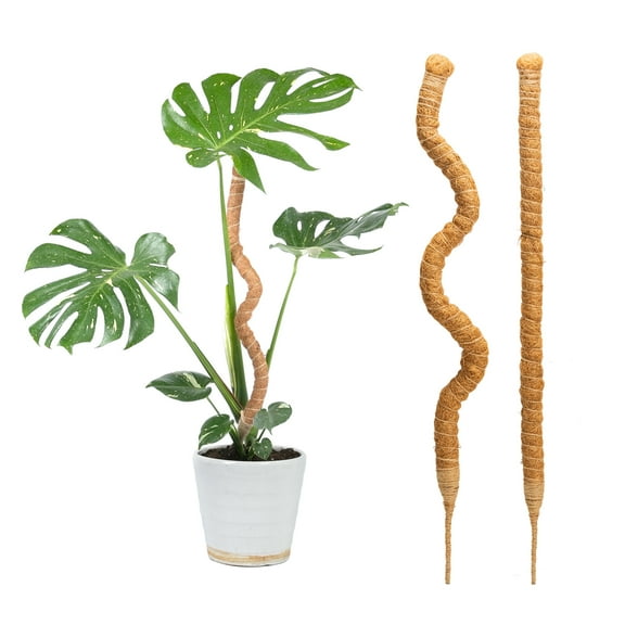 JF 2 Pack 17 Inch Monstera Plant Support for Climbing Plants Accessories Indoor, Stackable Moss Poles Plant Support Stakes, Coir Plant Pole Sticks for Potted Plants, Pothos, Philodendron