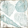 thumbnail image 2 of Villa, Mlli 15x15 White Modern Wood Framed Museum Art Print Titled - Sketched Shells, 2 of 4