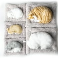 thumbnail image 6 of BESTSKY 2026 New Lifelike Simulation Cat Toy - Interactive Meowing Kitten Plush for Kids,Realistic Self-Moving Stuffed Animal,Educational Sensory Toy for Ages 3+,Desk & Car Decoration (10.6In), 6 of 7