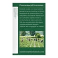thumbnail image 4 of Té de manzanilla Traditional Medicinals con lavanda orgánico 16 bolsitas de 1.5 g c/u, 4 of 4