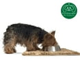 thumbnail image 4 of FurHaven | Muddy Paws Towel & Shammy Rug, Sand, Small, 4 of 10