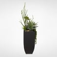 thumbnail image 4 of Botanical Succulent Variety in a Tall Black Modern Metal Planter - Green, 4 of 5