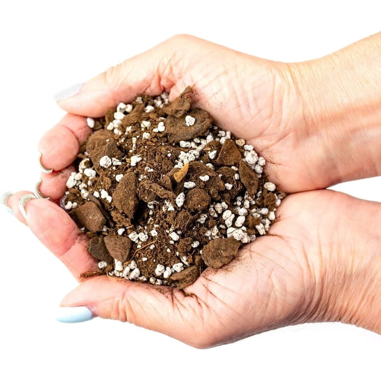 Palm Tree Potting Mix - The Ultimate Soil for Strong and Healthy Palms   - Top Choice for Palm Tree Growers  [5 QUART BAG] - Walmart.com