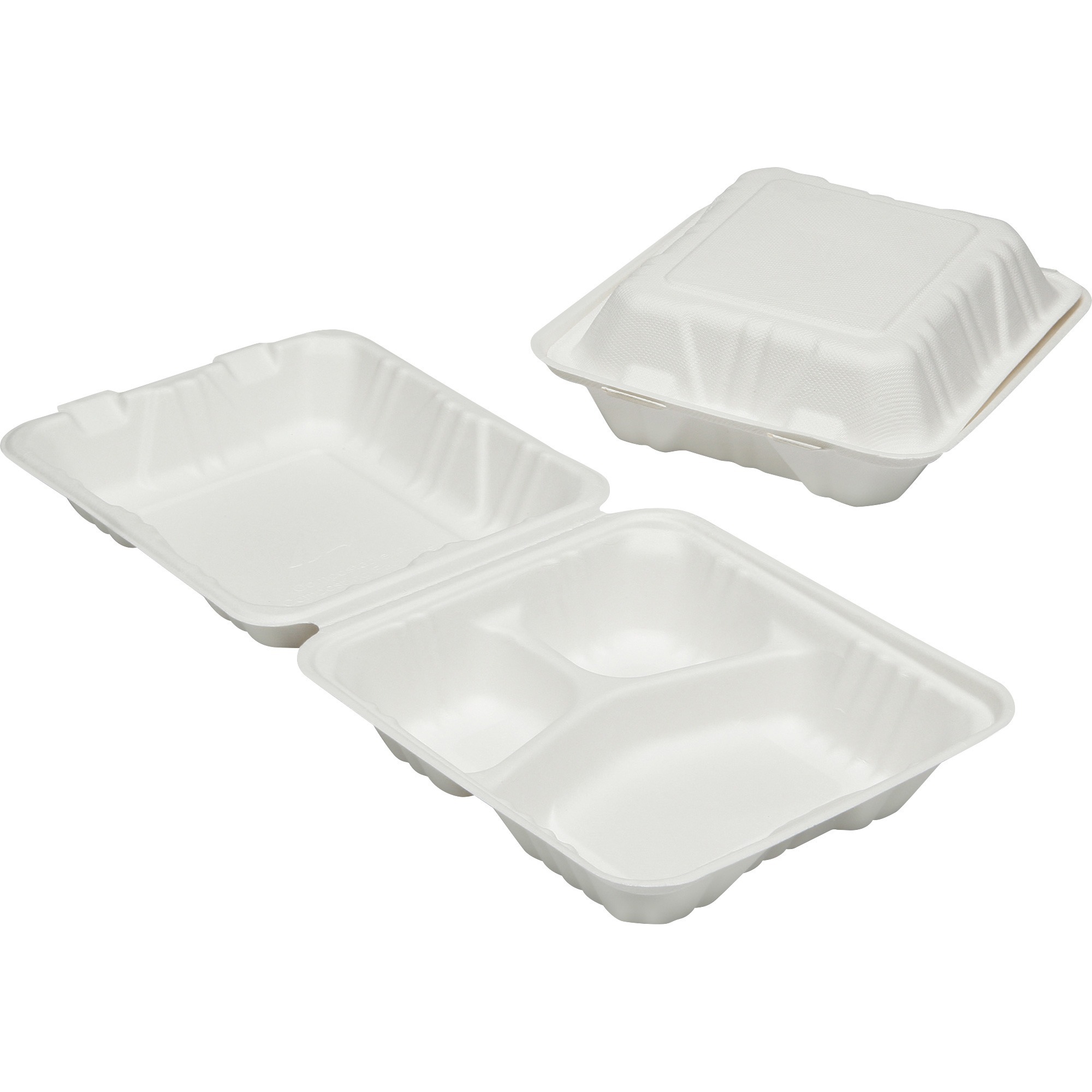 7350016646905, Clamshell Hinged Lid ToGo Food Containers, 8" x 8" x 3