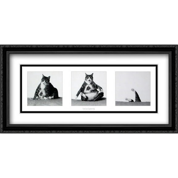 Fat Cat Capsizing 2x Matted 29x15 Large Black Ornate Framed Art Print by Richard Watherwax