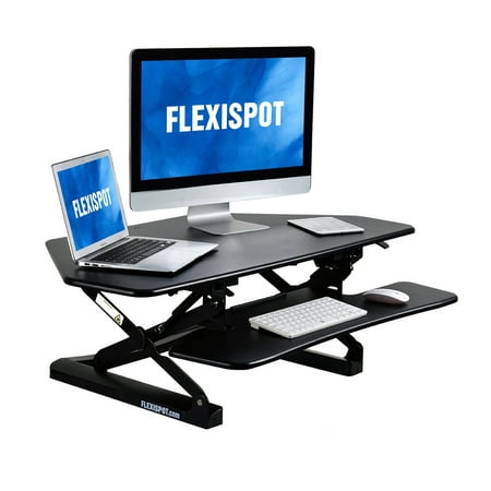FlexiSpot Standing Desk - 41