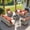 Coarse Orange Red, variant on XIZZI 10 Pieces Wicker Patio Furniture with Swivel Rocking Chair Rattan Outdoor Conversation Set Modular Patio Sectional Sofa with Lighting Coffee Table for Balcony, Porch, Backyard, Beige