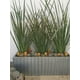 thumbnail image 5 of Maceta jardinera rectangular de fibra de vidrio color gris de 90 cm Green Boutique Pecera Mediana, 5 of 5