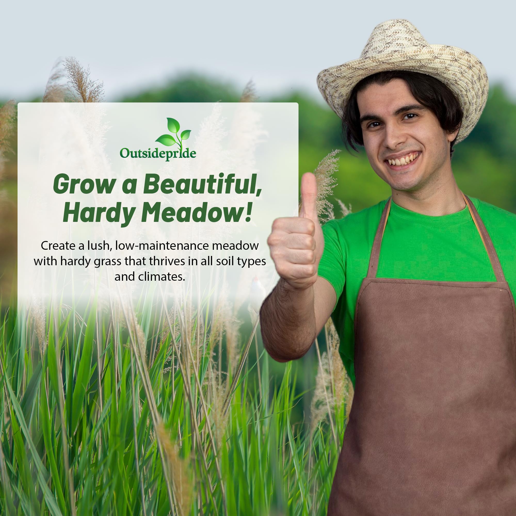 Outsidepride 1 lb. Perennial Indian Native, Prairie Grass Seed for Wildlife, Forage, & Ornamental