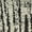 Gray/Ivory, variant on Ottomanson Soft Shag Area Rug 5x7 Abstract Modern Rug for Bedroom, 5'3" x 7', Beige/Ivory