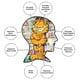 thumbnail image 5 of Rompecabezas AQUARIUS Garfield, 500 piezas, sin reflejos, 36 x 48 cm Aquarius NA, 5 of 7