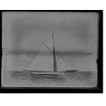 thumbnail image 2 of Historic Framed Print, Daphne - 2, 17-7/8" x 21-7/8", 2 of 9