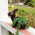 thumbnail image 5 of TerraHaven Cute Resin Flower Pots, Succulent Planter with Drainage Holes, Indoor/Outdoor Garden Decor, 5 of 9