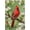 500 PCS, variant on 500 Piece Jigsaw Puzzle, Red Bird with Floral Leaves, Colorful Nature Design, Stress Relief Family Fun Puzzle, 20.5" x 15"