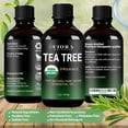 thumbnail image 4 of Tea Tree Essential Oil by Fiora Naturals- 100% Pure Organic for Face, Hair, Foot, Acne & Scalp, 4 of 7