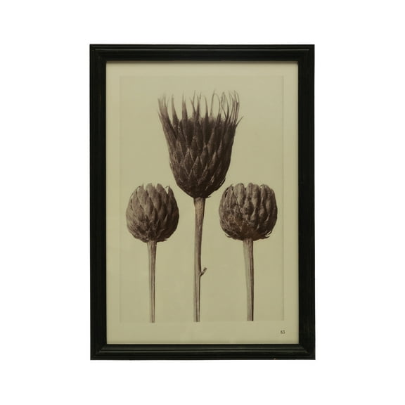 Creative Co-Op Wood Framed Artichoke Print with Glass Cover, Multicolor