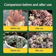 thumbnail image 2 of Fertilizante para brotes de plantas suculentas seguro para el hogar, fertilizante foliar con elemento explosivo, 2 of 5