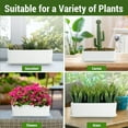 thumbnail image 2 of 14 Inch Ceramic Indoor Plant Pot with Drainage Hole, Rectangular Succulent Planter Window Box with Removable Saucer, Unglazed White, 2 of 5