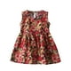 thumbnail image 1 of Odeerbi Niñas Verano Algodón Vestido Tanque Floral Vestido Sol Sin Mangas A-Vestido Sin Mangas de Princesa, 1 of 3