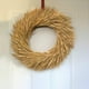 thumbnail image 3 of Tallos de trigo seco, 100 tallos de decoración de trigo natural para el hogar, la cocina, la boda de Navidad, 3 of 5