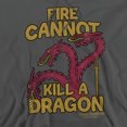 thumbnail image 2 of Game of Thrones Dragons With Fire Unisex Adult Pull-Over Hoodie,Charcoal, X-Large, 2 of 5