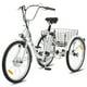 Viribus 24" Tricycle Électrique pour Adultes avec 250W Moteur 36V 10Ah Batterie – image 1 sur 10